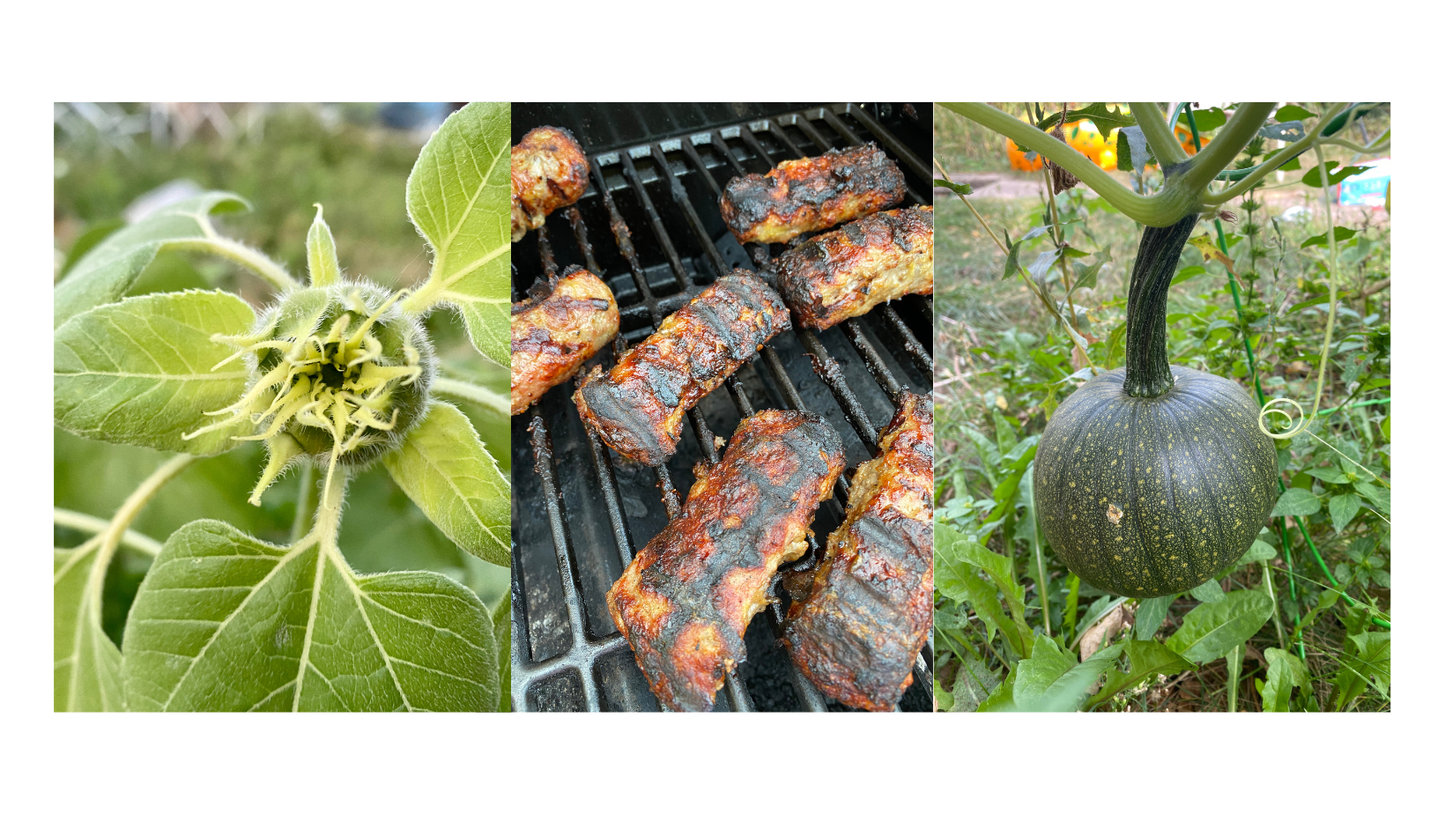 Yearly Producer Membership